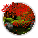 Zen Garden : Fall