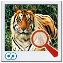 Find It 2 : Animaux