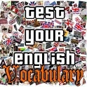 Test Your English Vocabulary