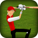 Stick Cricket