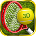 Tennis Champion 3D