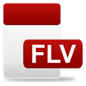 FLV Video Player