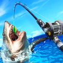 Go Fishing !
